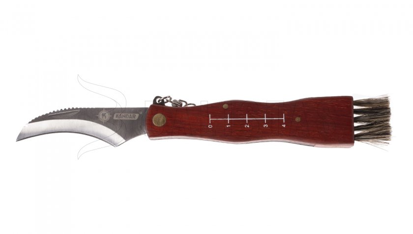 Couteau de cueillette de champignons Kandar N154