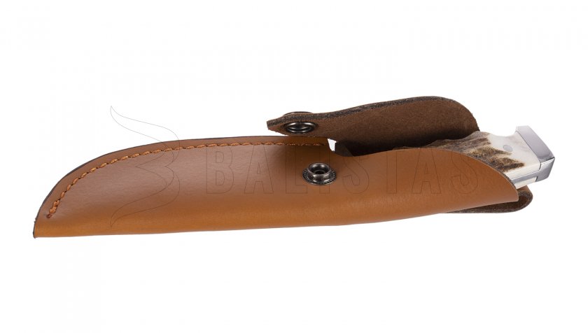 Mes Kandar N248-1