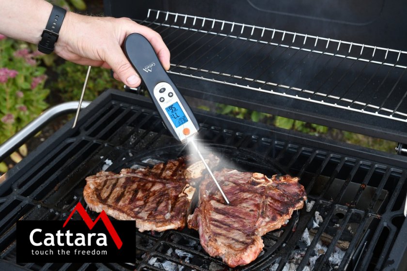 Thermomètre de grillade numérique pliant