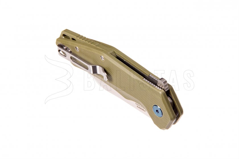 Couteau pliant Ganzo Firebird FH31-GB