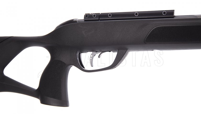 Carabine à air comprimé Gamo Roadster IGT 10X GEN2 4,5mm - 24J