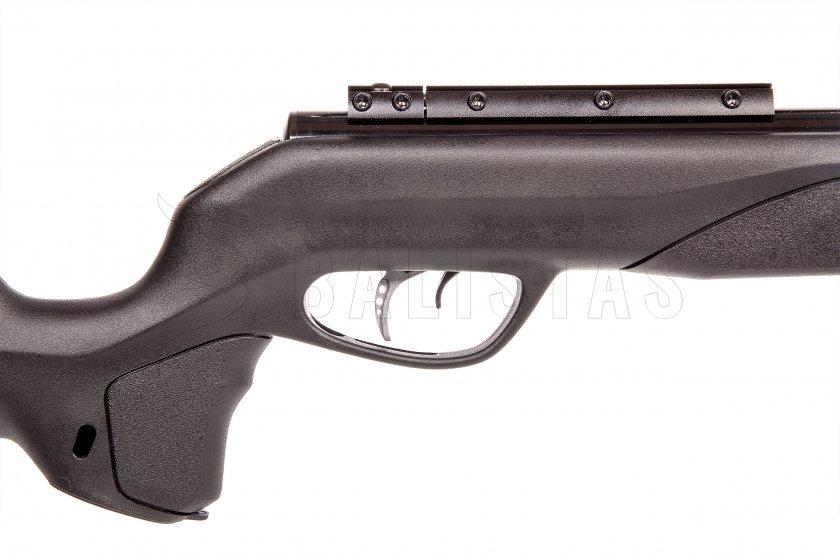 Carabine à air comprimé Gamo Speedster IGT 10x GEN2 4,5mm - 24J