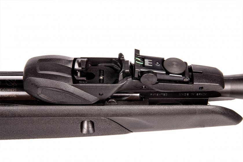 Carabine à air comprimé Gamo Speedster IGT 10x GEN2 4,5mm - 24J