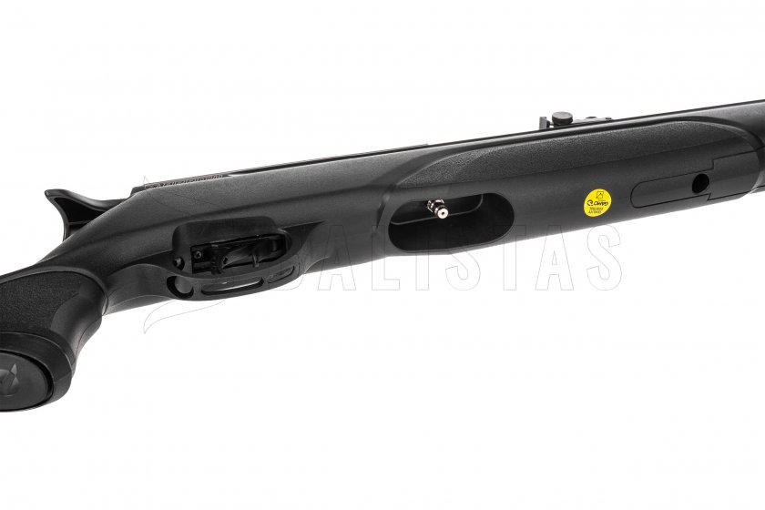Carabine à air comprimé Gamo Arrow 5,5mm - 24J