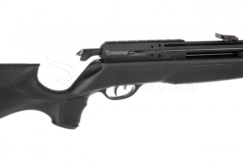 Carabine à air comprimé Gamo Arrow 5,5mm - 24J