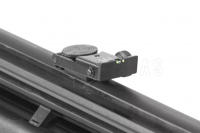 Carabine à air comprimé Gamo Arrow 5,5mm - 24J