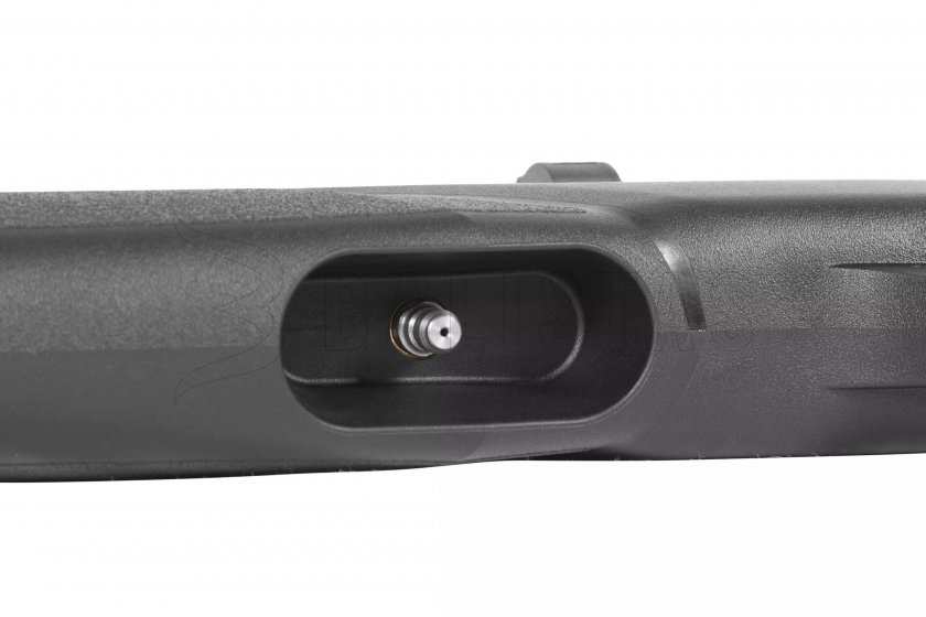 Carabine à air comprimé Gamo Arrow 5,5mm - 24J