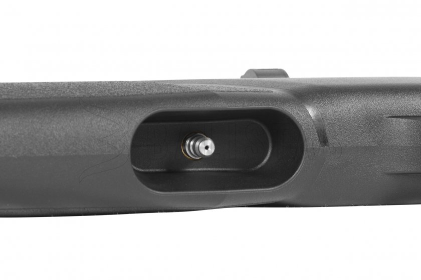 Carabine à air comprimé Gamo Arrow 4,5mm - 24J