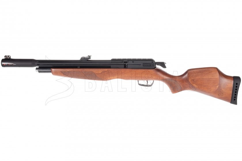 Carabine à air comprimé Gamo Riser Punisher 4,5mm