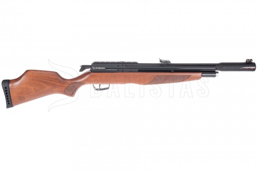 Carabine à air comprimé Gamo Riser Punisher 4,5mm