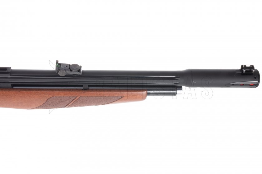 Carabine à air comprimé Gamo Riser Punisher 4,5mm