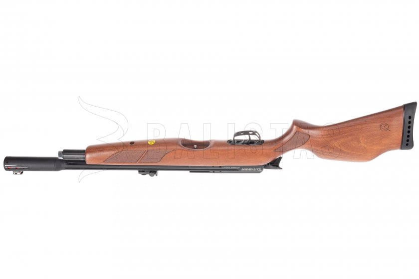 Carabine à air comprimé Gamo Riser Punisher 4,5mm