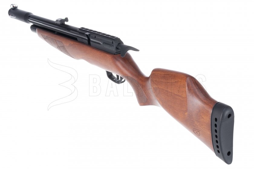 Carabine à air comprimé Gamo Riser Punisher 4,5mm