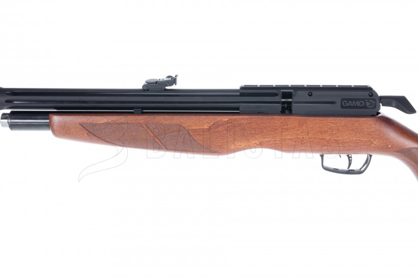 Carabine à air comprimé Gamo Riser Punisher 4,5mm