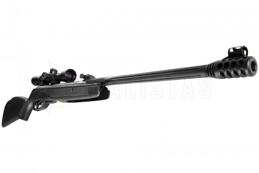Carabine à air comprimé Gamo Black Bear 4,5mm - 20J