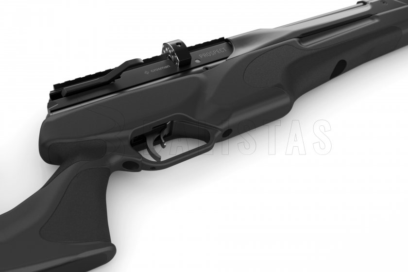 Carabine à air comprimé Crosman Prospect 5,5mm