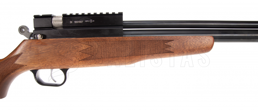 Carabine à air comprimé Evanix Hunting Master AR6K 6,35mm