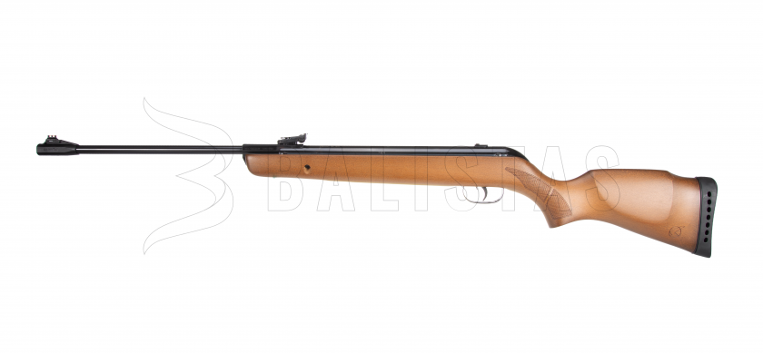 Carabine à air comprimé Gamo Big Cat Hunter 4,5mm - 19J