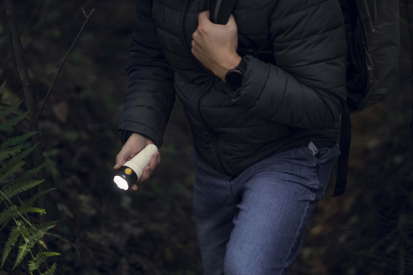 Lampe multifonction Armytek Bear WRG