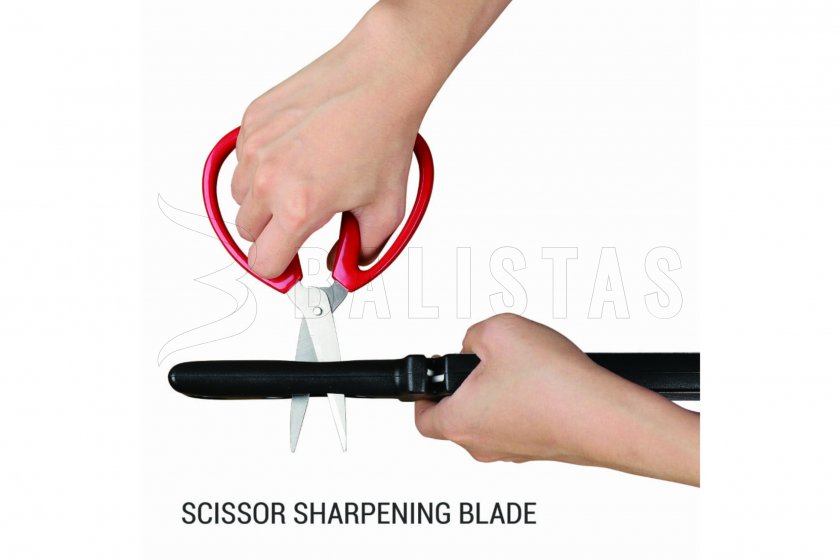 Affûteur Ganzo ProSharp