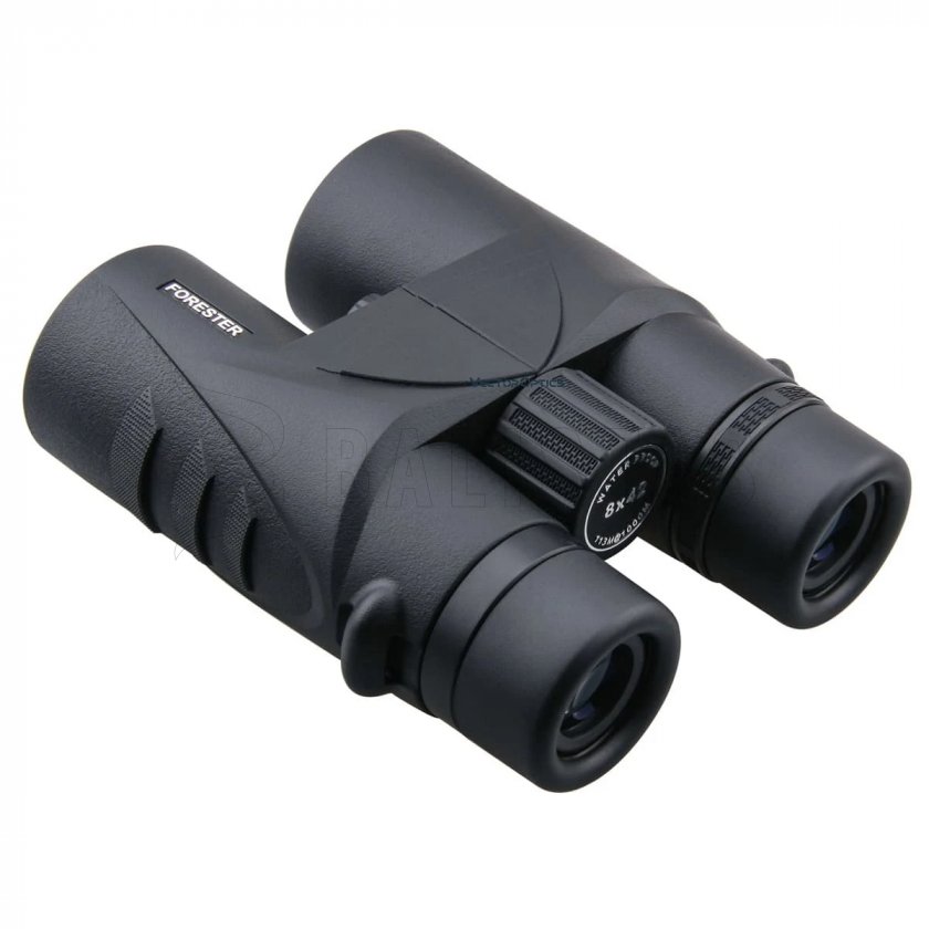 Jumelles Vector Optics Forester 8x42