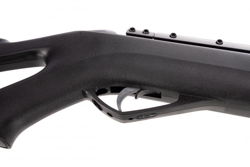 Carabine à air comprimé Gamo Whisper IGT 5,5mm - 24J