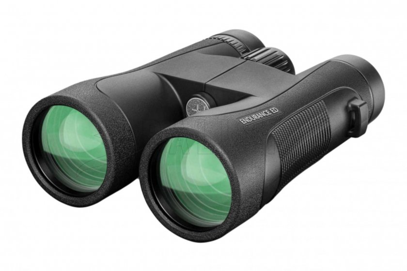 Jumelles Hawke Endurance ED 12x50 noir