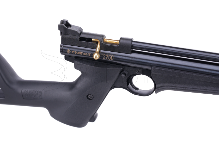 Carabine à air Crosman 2250 5,5mm
