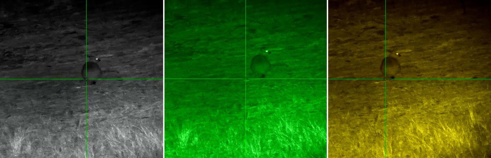 Lunette de visée avec vision nocturne PARD Night Stalker MINI texte 4